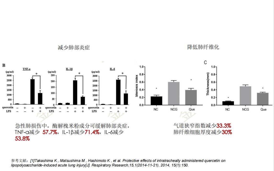 槐米肺1.jpg