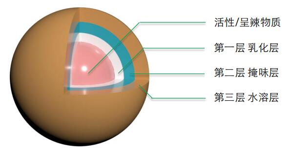 生姜油微囊粉1.jpg