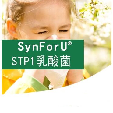 SynForU-STP1乳酸菌
