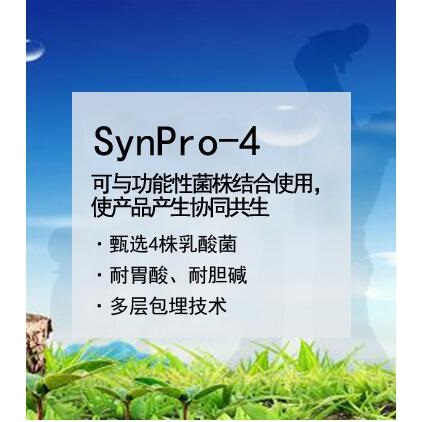SynPro-4 乳酸菌