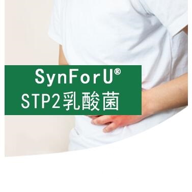 SynForU-STP2乳酸菌