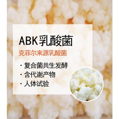ABK乳酸菌