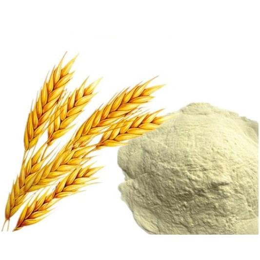小麦低聚肽