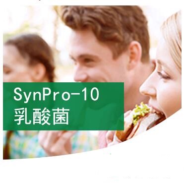 Synpro-10乳酸菌